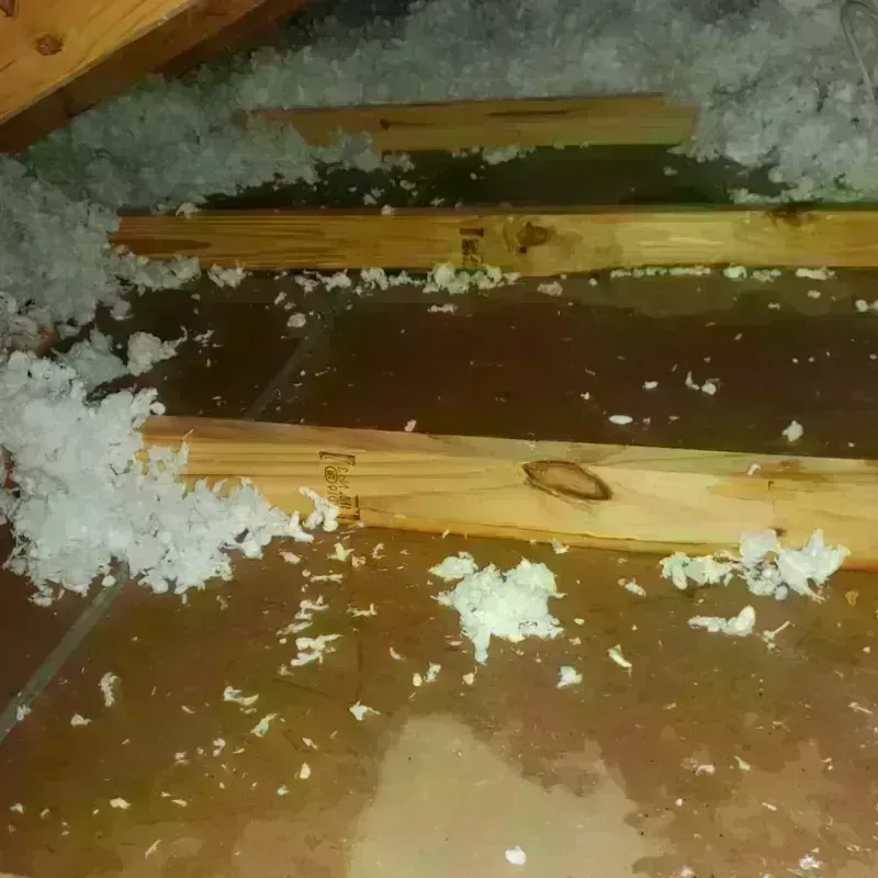 Attic Water Damage in Schenectady, NY